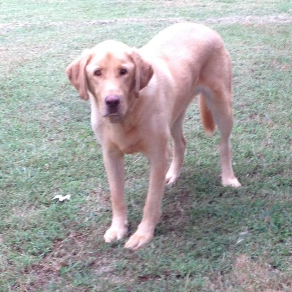 Meet your Posher, Floyd - Picture 9 of 9